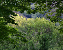 El Caurel, Sierra de Lugo, Galicia