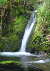 Cascada en el Caurel