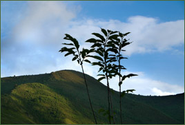 Sierra de Lugo, Galice